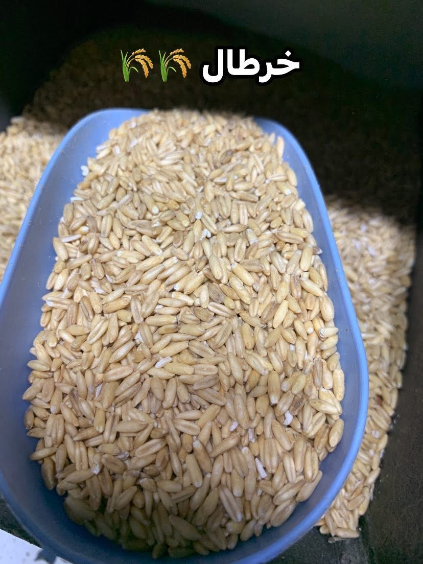 جميع الحبوب الخاصة بطائر الحسون 🦜