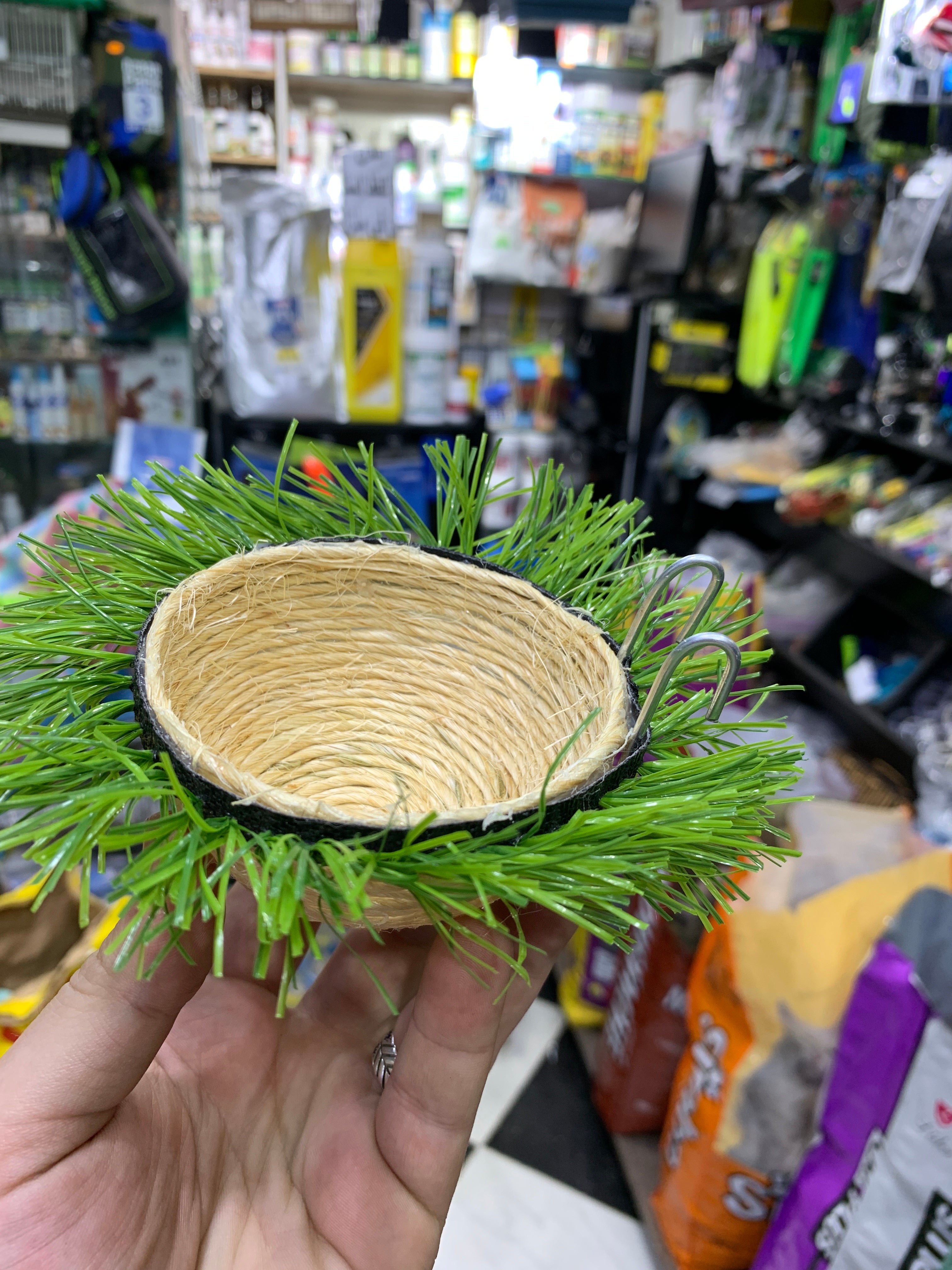 اعشاش الحسون