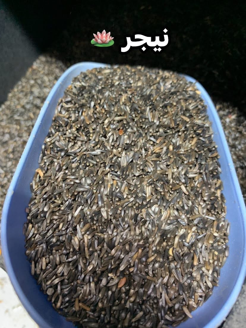 جميع الحبوب الخاصة بطائر الحسون 🦜