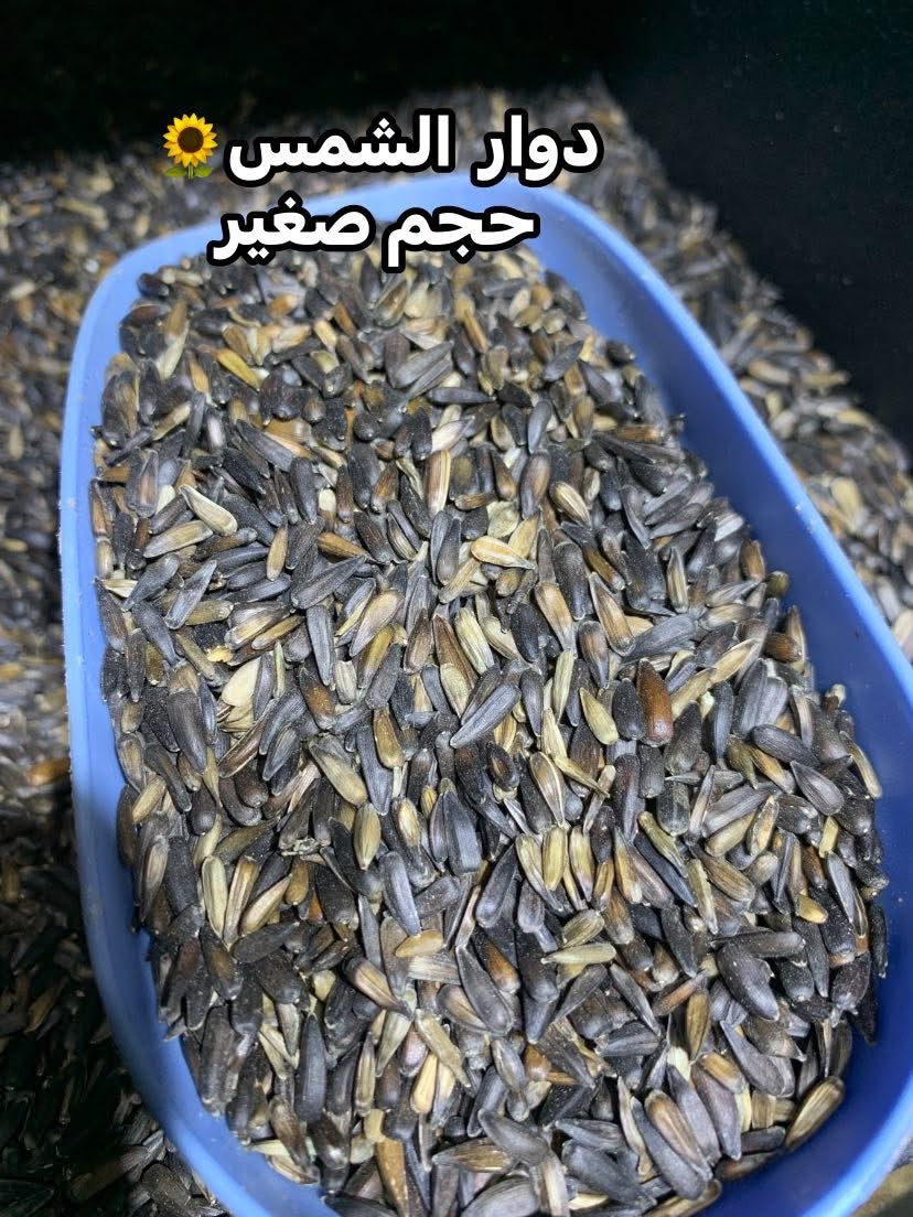 جميع الحبوب الخاصة بطائر الحسون 🦜