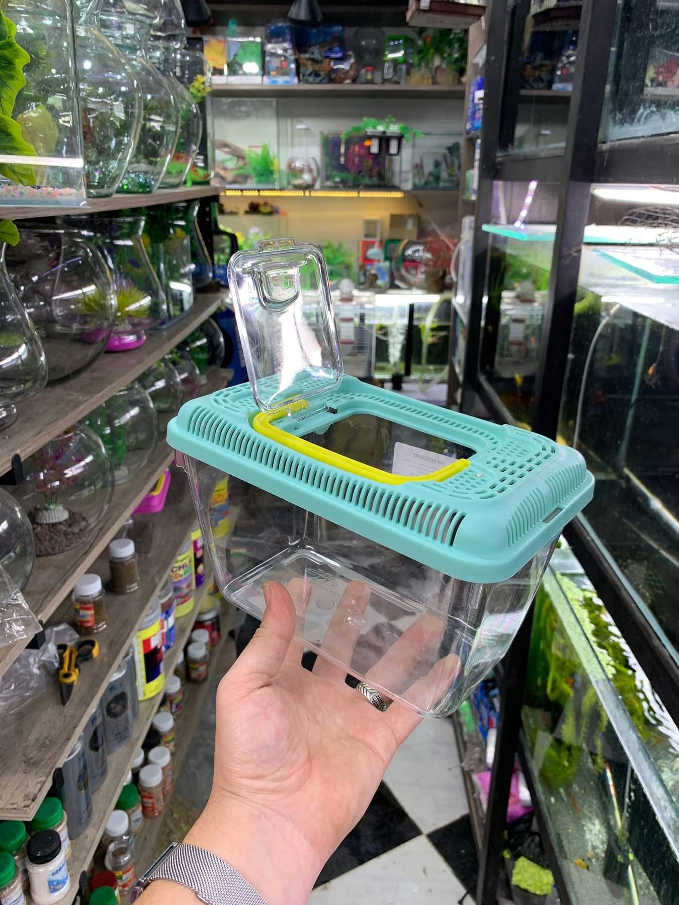 حوض بلاستيكي خاص بالاسماك  🐟🐠