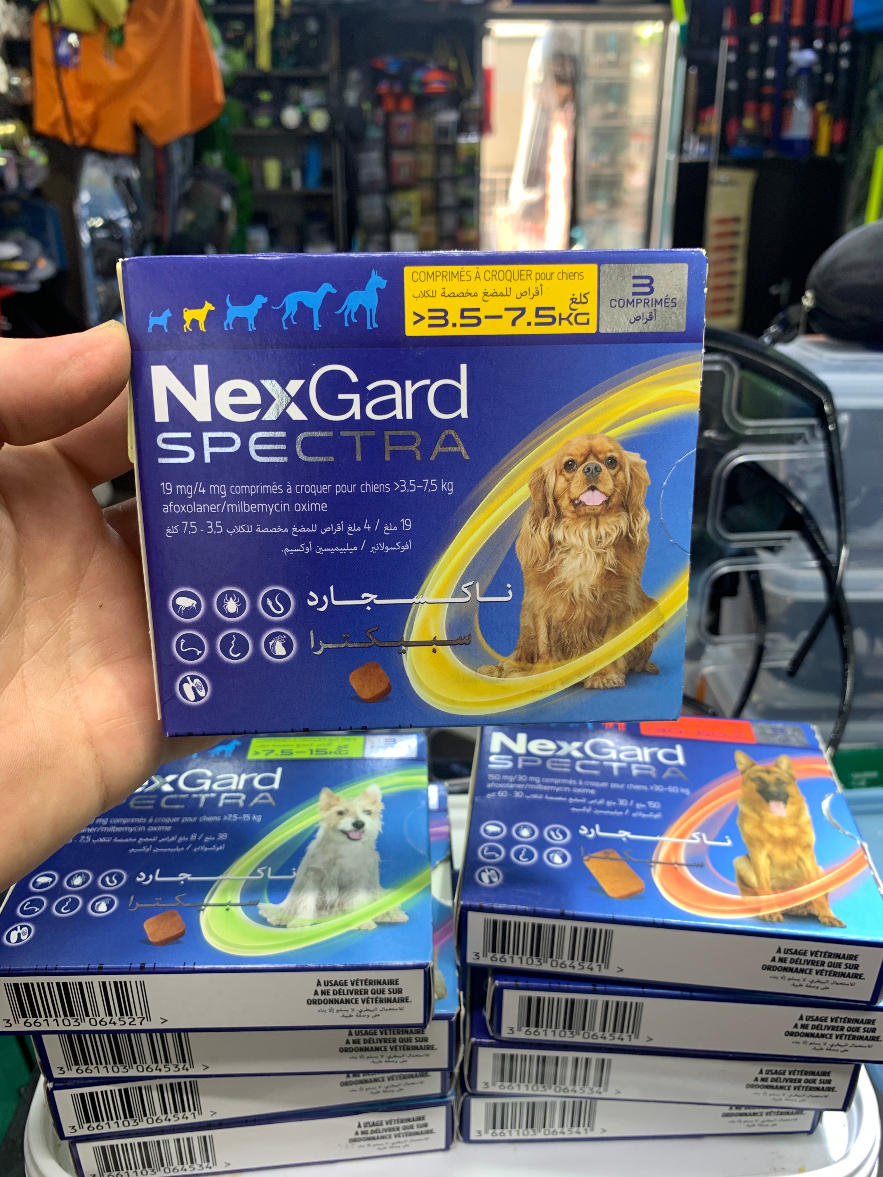 NexGard 🐶قرص للحماية من الطفيليات الداخلية و الخارجية