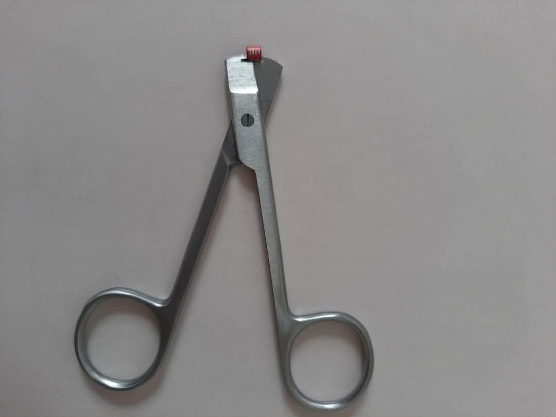 مقص ✂️ خاتم التحجيل
