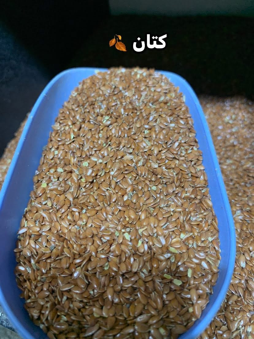 جميع الحبوب الخاصة بطائر الحسون 🦜