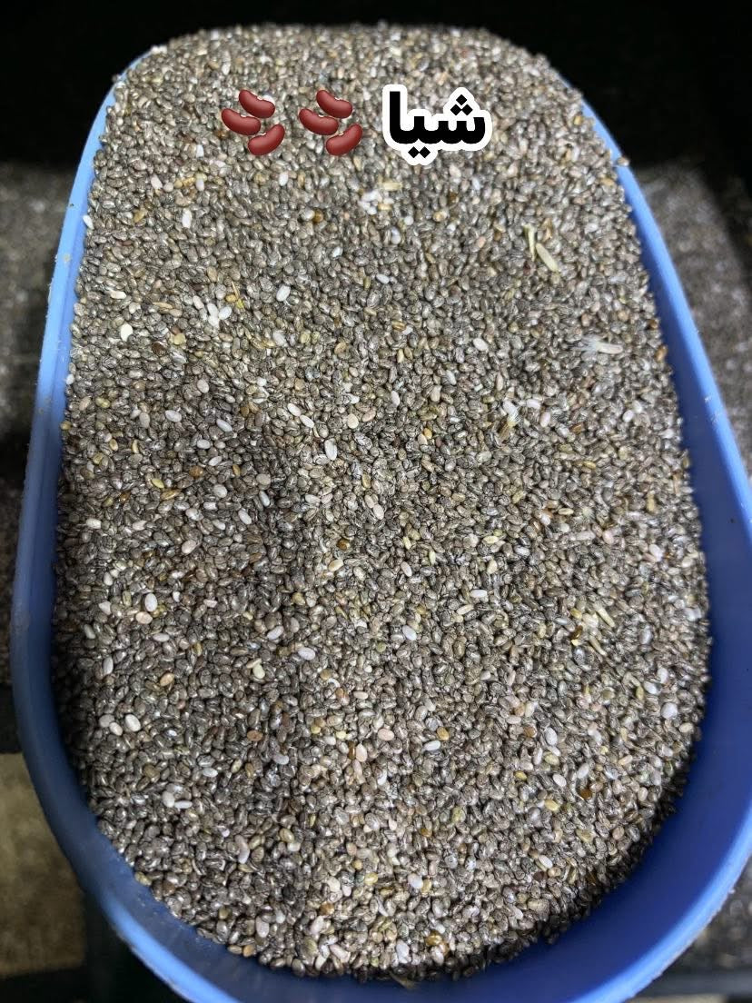 جميع الحبوب الخاصة بطائر الحسون 🦜