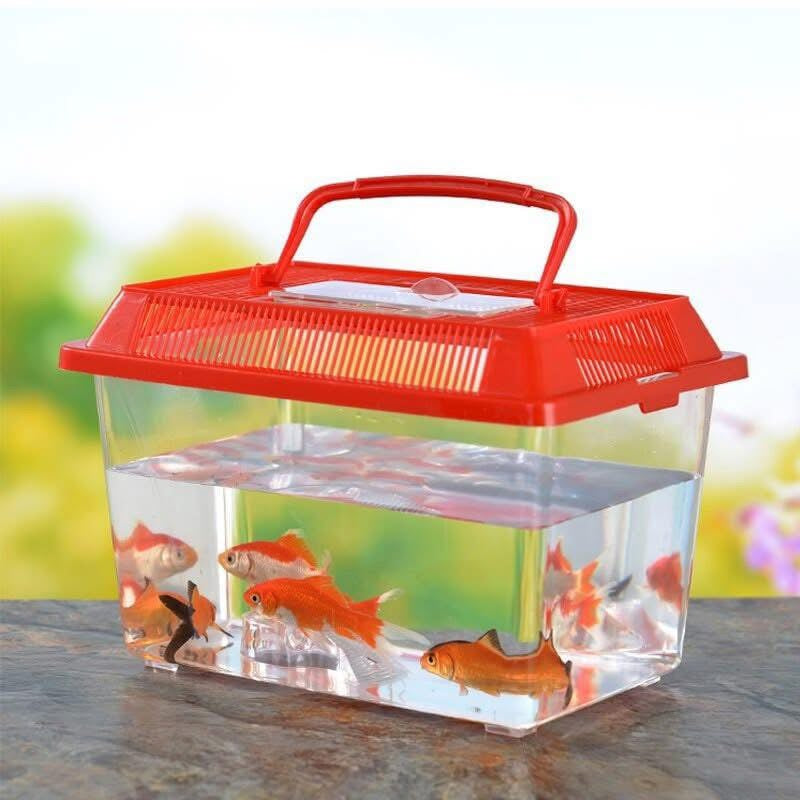 حوض بلاستيكي خاص بالاسماك  🐟🐠