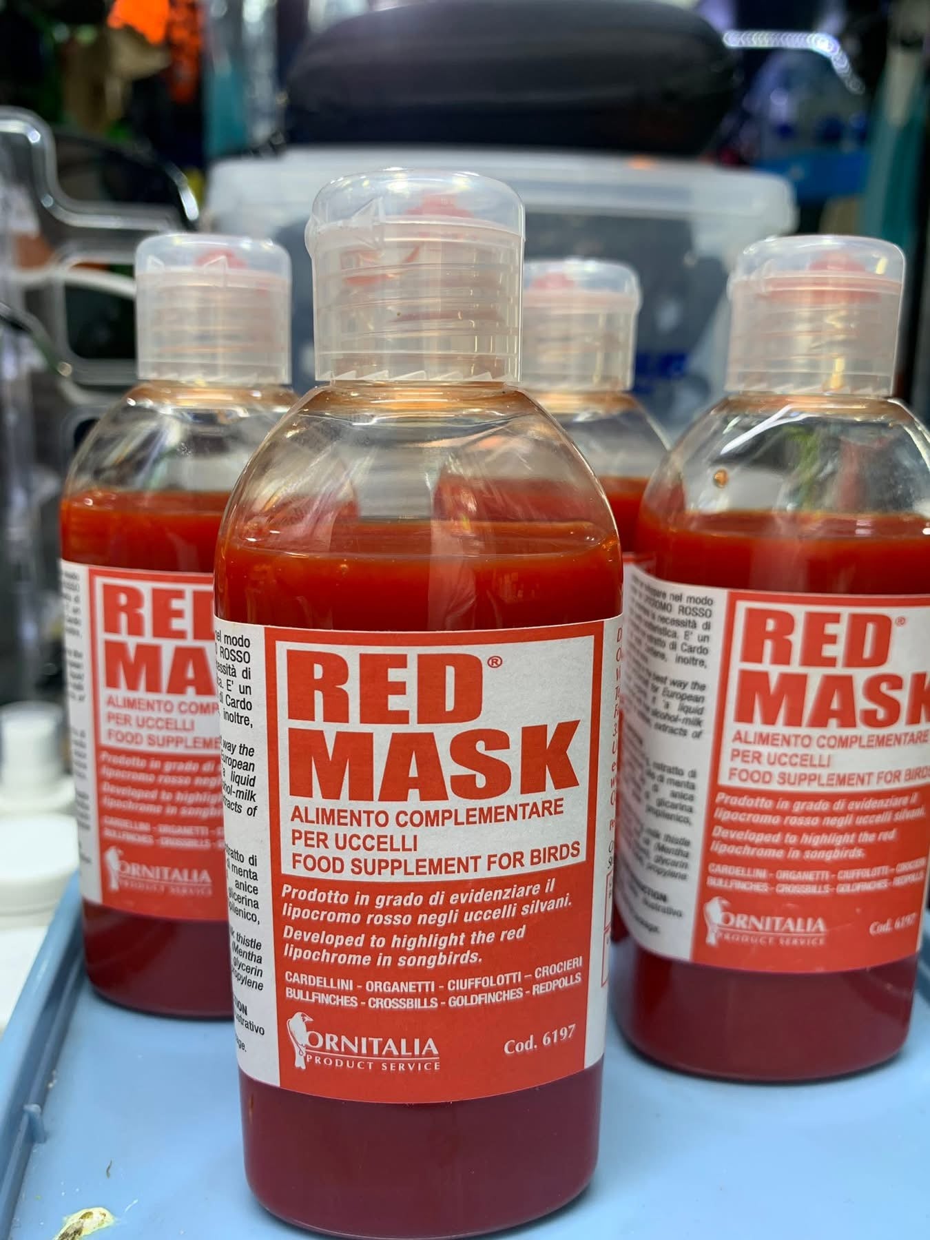 RED MASK 🦜