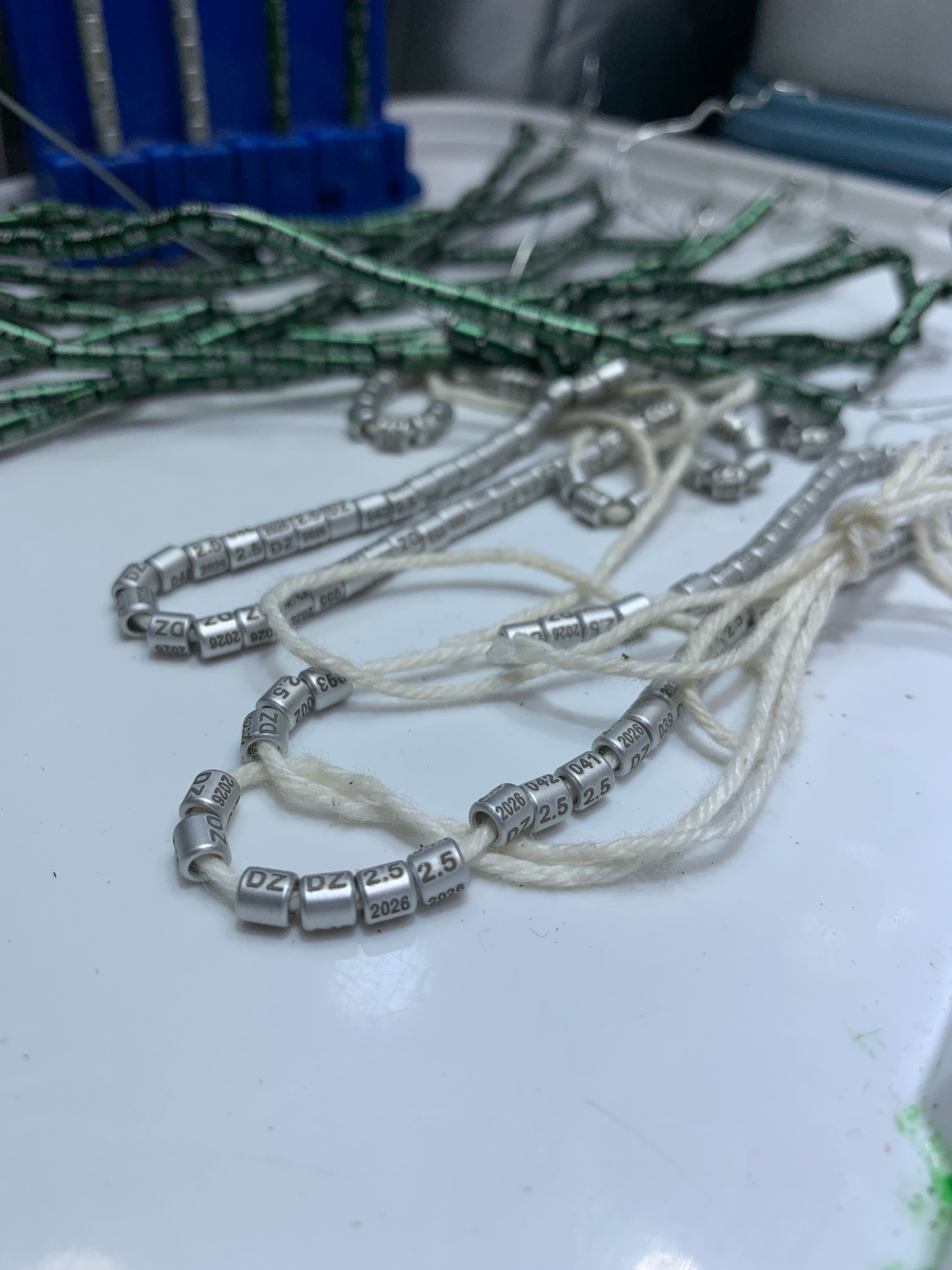 خاتم تحجيل 2026 /2.5 mm2026/03 mm